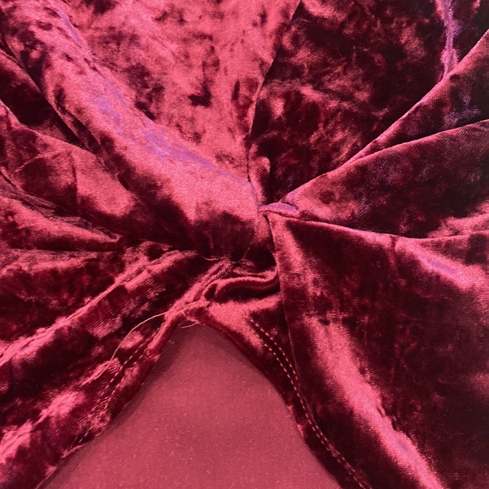 Hummingbird Velvet Tee Maroon - Picture 2 of 4